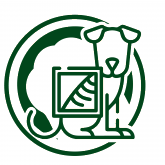 Siêu Âm