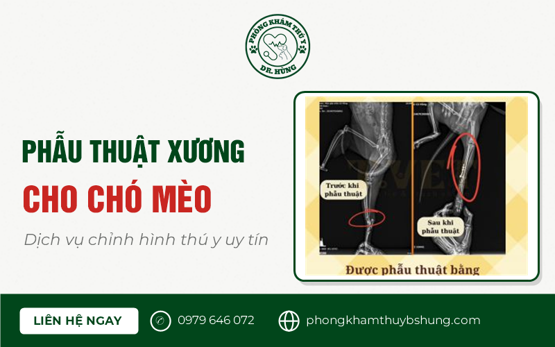 phẫu thuật xương cho chó mèo