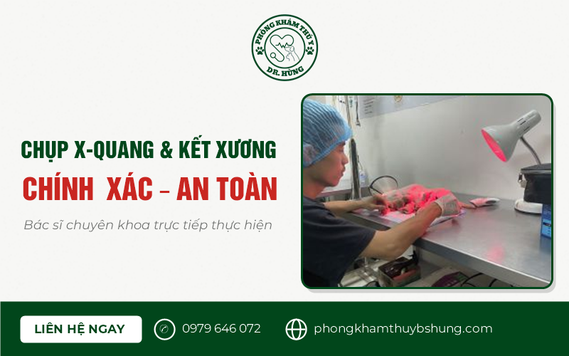 phẫu thuật xương cho chó mèo